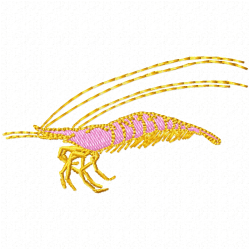 Shrimp Embroidery Design 4